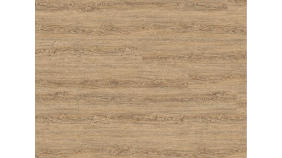 Vinylová podlaha lepená Wineo 800 Wood XL Clay Calm Oak