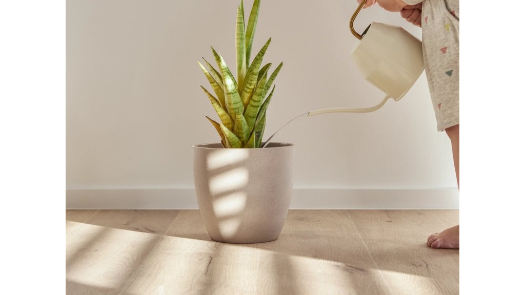 Vinylová podlaha lepená COREtec Flexile 1200 Forest