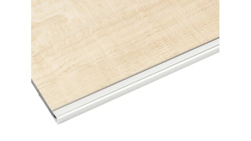 Ukončovací lišta pro podlahy do 5 mm Profilteam 9*2700 Stříbrná E01