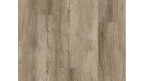 Fatra Thermofix PRO Wood Dub luční 14161-1 vinylová podlaha lepená