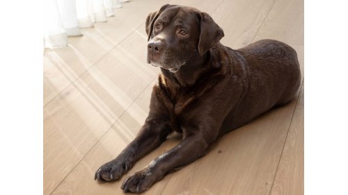 Vinylová podlaha hybridní COREtec Xl-End Kylemore V2