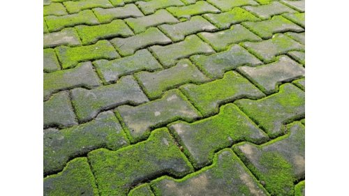 Osmo 6606 Gard Clean odstraňovač mechu a řas 5 l