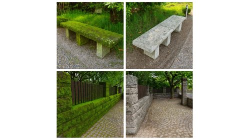 Osmo 6606 Gard Clean odstraňovač mechu a řas