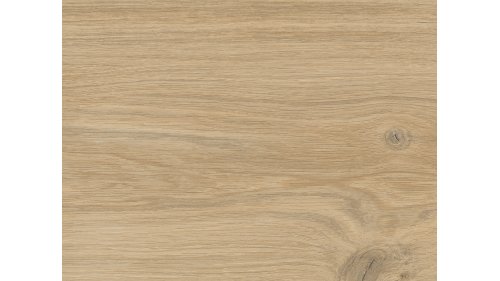 Vinylová podlaha lepená Aspecta Excellence XL GD55 Baron